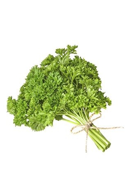 Perejil Rizado Perejil Rizado