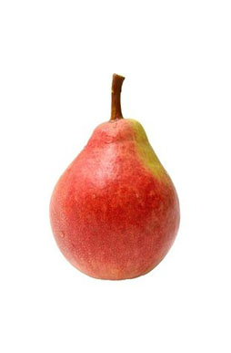 Bartlett Pear Bartlett Pear
