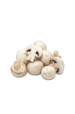 Seta Blanca Seta Blanca