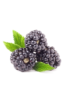 Moras Moras